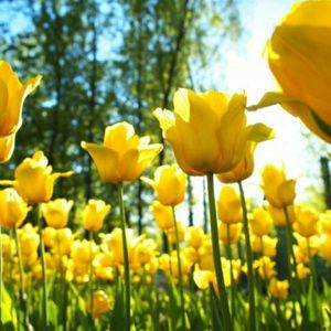 Meet your Posher, Tara